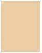 Produktbild Clarins Ever Matte Loose Powder (02 Universal Medium)