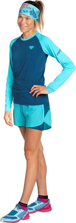 Actual product image Dynafit Alpine Pro long sleeve shirt (40, L)
