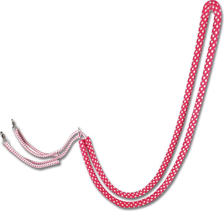 Waldhausen Lunging aid