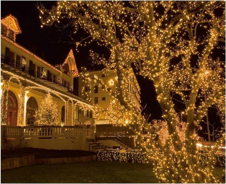 Produktbild STT Tree Light (8 m)