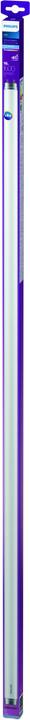 Immagine prodotto Philips Tubo fluorescente LED 1200 mm, 16W, presa, 1600 lumen (G13, 13 W, 1600 lm, 1 x, F)