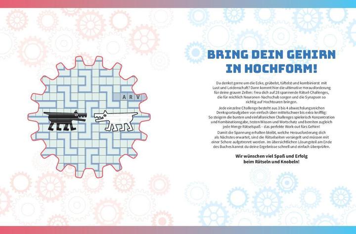 Produktbild Die ultimative Rätsel-Challenge Gedächtnistraining (Deutsch, Naumann & Göbel, 2023)