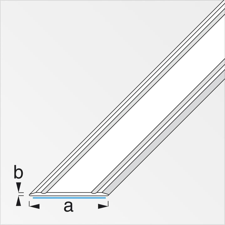 Actual product image Alfer Transition profile aluminium 1m