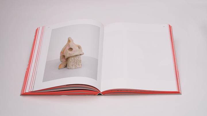 Actual product image Carey-Kent:Jenny Brosinski - Things I'v (German, Jenny Brosinski, Paul Carey-Kent, Wentrup Almine Rech, Larissa Kikol, Knust Kunz, Maria Vogel, 2024)