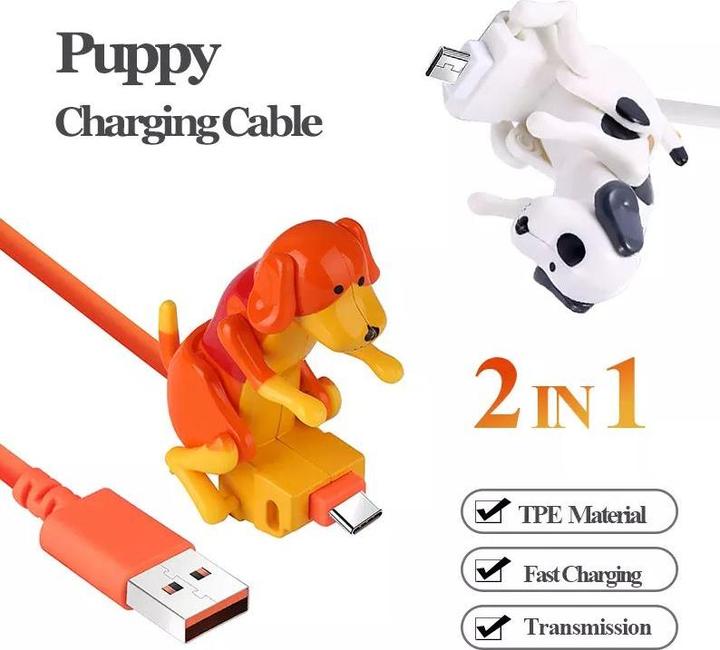 Immagine prodotto PhoneLook Cavo caricatore (1 m) USB-C verso USB-A chien excité qui bouge (1 m)