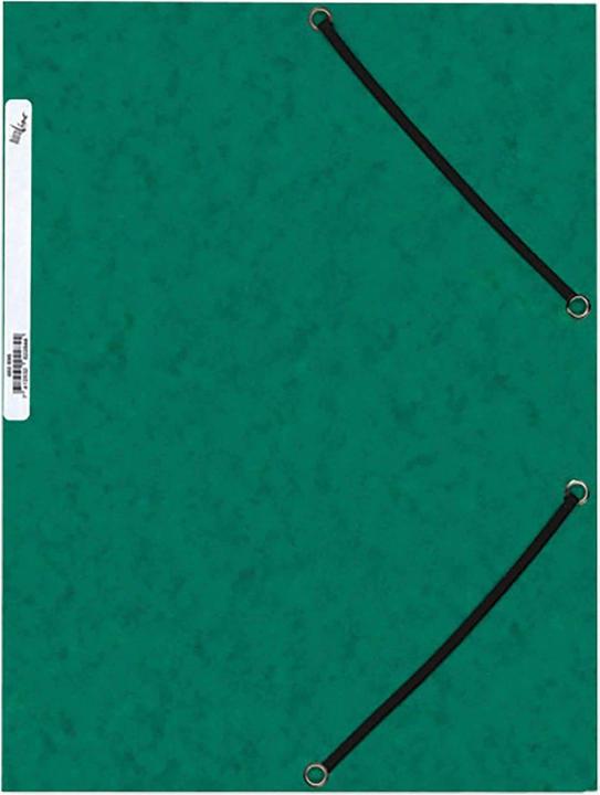 Actual product image BüroLine Rubber band folders (A4, 1 x)