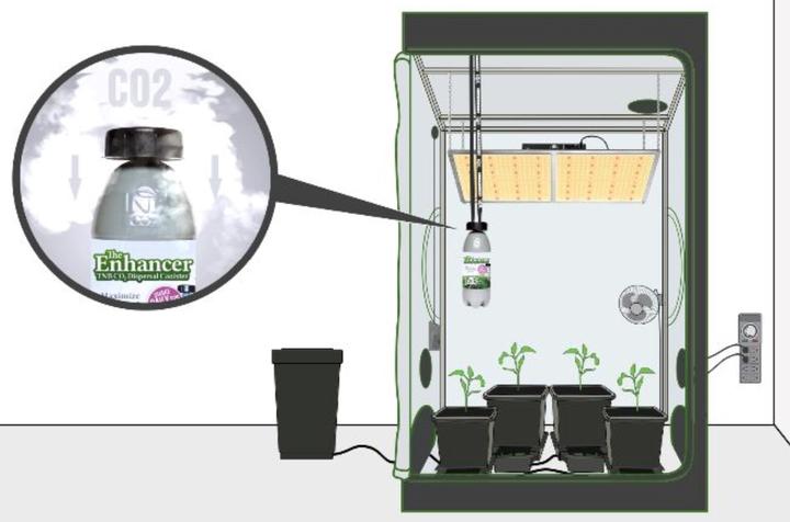 Immagine prodotto TNB Bottiglia di CO2 Enhancer