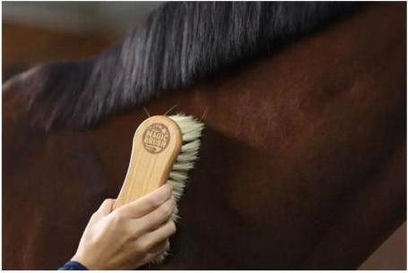 Produktbild Magic Brush Natural Fibres Kombi-Pferdebürste