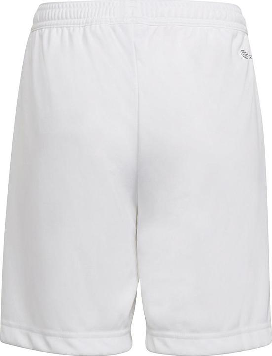 Actual product image adidas Entrada 22 Shorts (116)