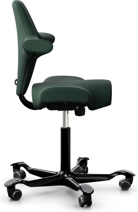 Image du produit HAG Capisco 8106 SELECT