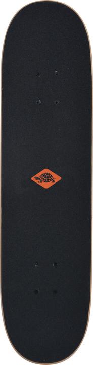 Actual product image Schildkröt Kicker (31")