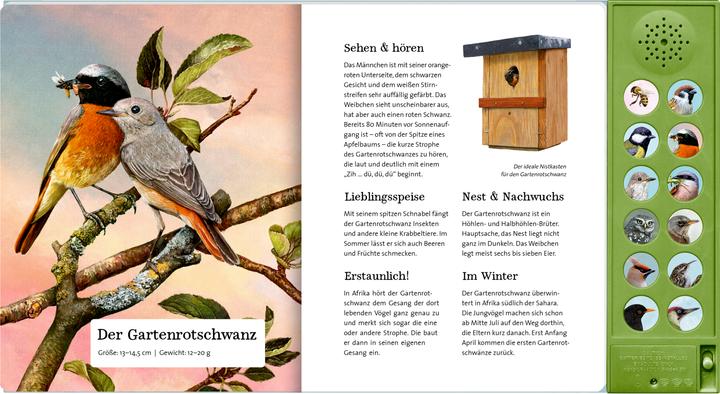 Produktbild Was singt und summt im Apfelbaum? (Deutsch, Holger Haag, Lars Baus, 2025)
