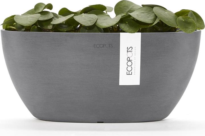 Produktbild Ecopots Sofia (13 cm)