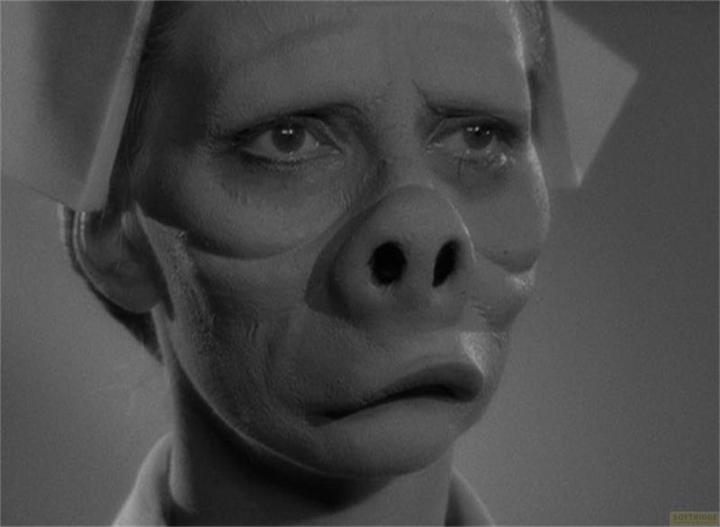 Actual product image Plaion The Twilight Zone - The Complete Series DVD Box Set (DVD, 2018, German)