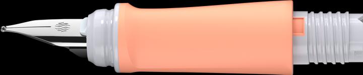 Actual product image Schneider Front part L Ray Flora