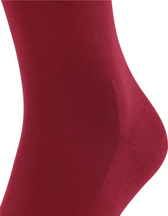 Produktbild Falke Clima Wool (Einzelpack, 47 - 48)