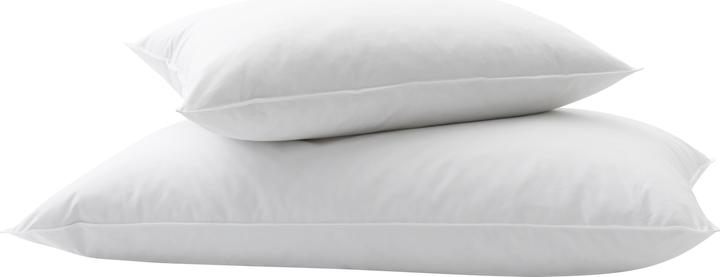 Immagine prodotto Billerbeck Standard 250 (50 x 90 cm)