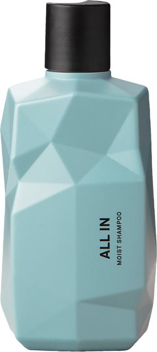 Produktbild Nine Yards All In Moist Shampoo Moisturizing Shampoo For Hair 300Ml (300 ml, Flüssiges Shampoo)