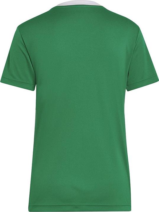 Immagine prodotto adidas Camicia da calcio Entrada 22 Donna (M)