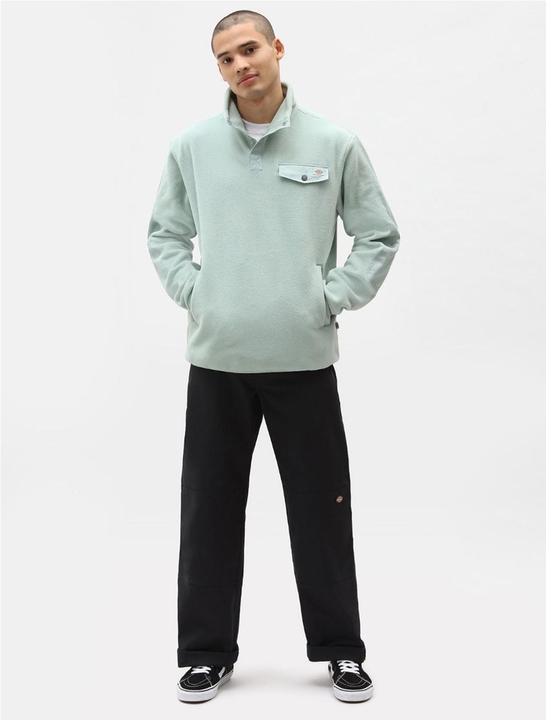 Actual product image Dickies Storden Pant (W34/L32)