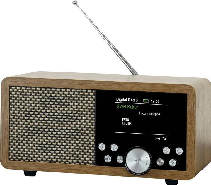 Dynavox Weltempfänger DAB+, FM, DAB DAB+, Bluetooth®, SD, USB Braun (DAB, FM, DAB+, Bluetooth)