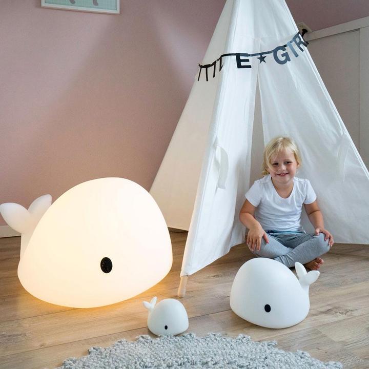 Immagine prodotto Flow Amsterdam LED Moby