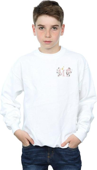Actual product image Disney Boys Mary Poppins Letter Breast Print Sweatshirt (152, 158)