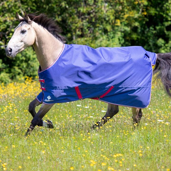 Actual product image Tempest Original Air Motion Horse Blanket (152.40 cm)
