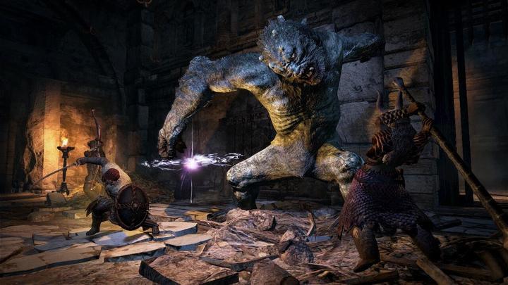 Actual product image Capcom Dragon's Dogma: Dark Arisen -US- (Switch, Switch Lite, Switch OLED, EN)