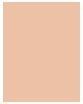 Immagine prodotto Sensai Cellular Performance Cream Foundation (CF12 BEIGE MORBIDO)