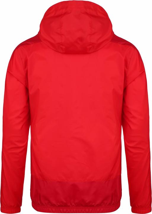 Image du produit Puma teamGoal 23 veste de pluie pour hommes (S)