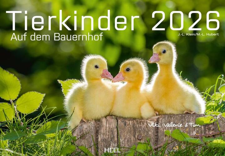 Produktbild Tierkinder auf dem Bauernhof Kalender 2026 (Harter Einband, Deutsch)