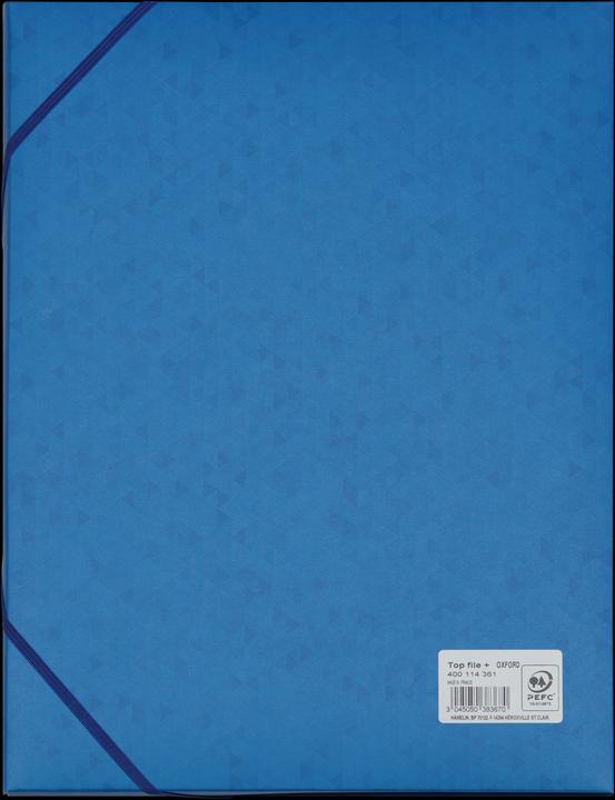 Oxford TOP FILE+ collection box, A4 (A4, 1 x)