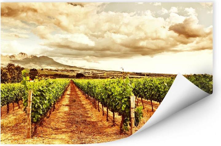 Actual product image Trenddeko Vines in the mountains (120 x 80 cm)