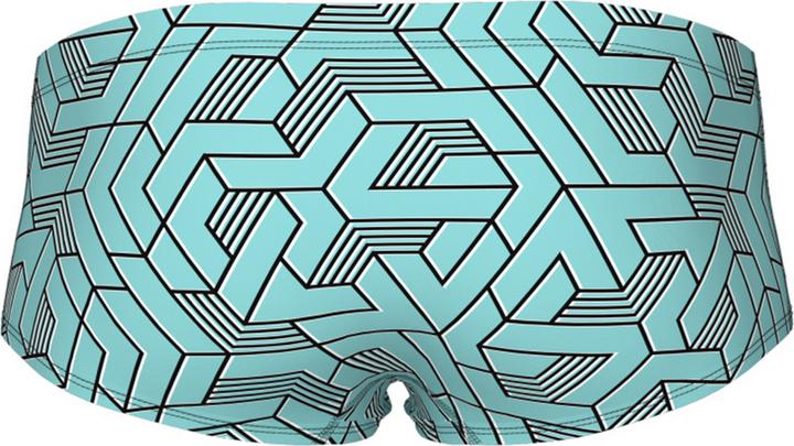 Image du produit Arena M Escape Swim Low Waist Short (7)