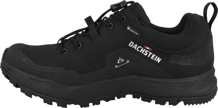 Image du produit Dachstein Delta Peak GTX - 66369 (43.5)