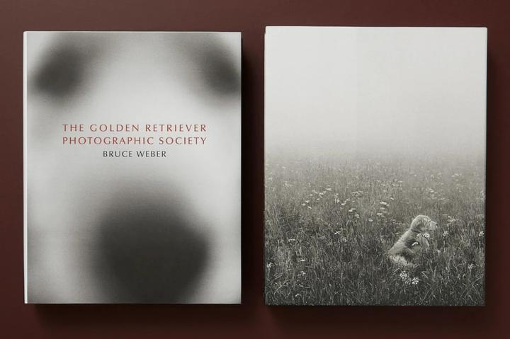 Produktbild Bruce Weber. The Golden Retriever Photographic Society (Deutsch, Französisch, Englisch, Jane Goodall, 2021)