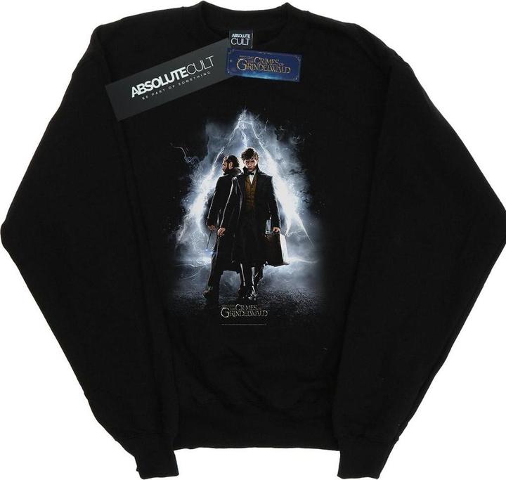 Image du produit Fantastic Beasts - Sweat NEWT AND DUMBLEDORE POSTER - Garçon (152, 158)