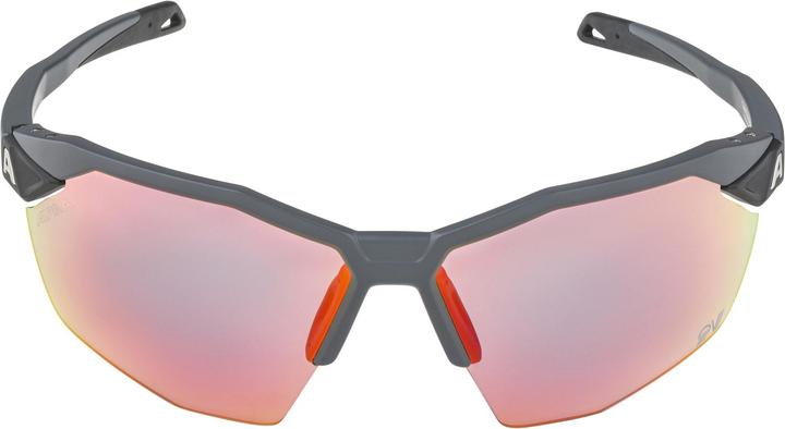 Image du produit ALPINA SPORTS Twist Six HR QV (Gris Mat, Rainbow)