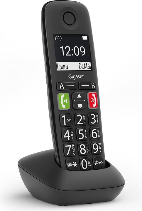 Gigaset E290HX