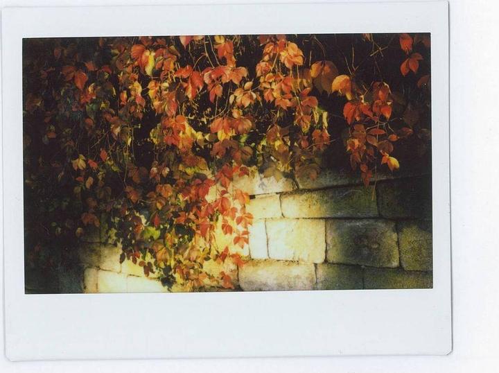 Produktbild Fujifilm Instax Color (Instax Wide 300)