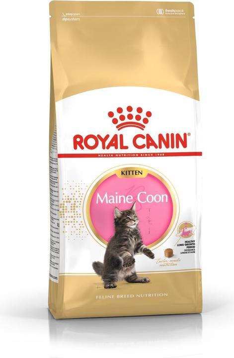 Produktbild Royal Canin Maine Coon (Junior, 1 Stk., 4000 g)