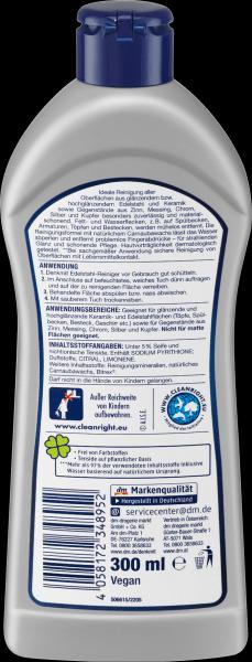 Image du produit dm Denkmit Nettoyant pour acier inoxydable