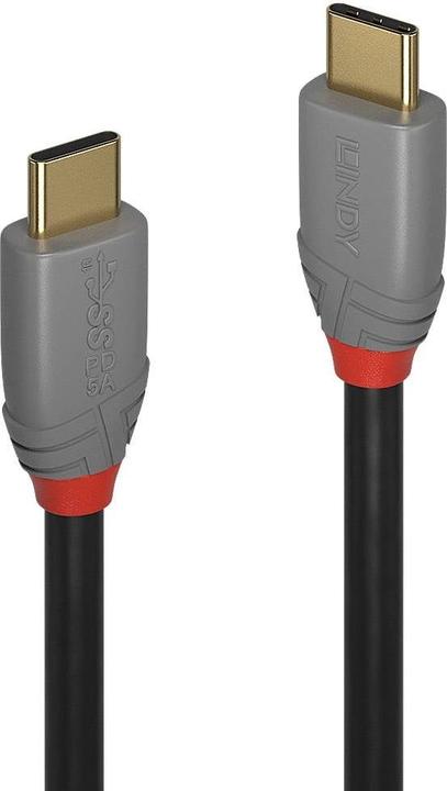 Actual product image Lindy Anthra Line (0.50 m, USB 3.1)