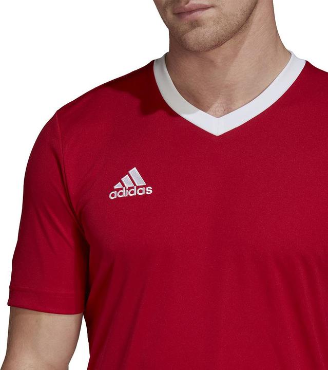 Actual product image adidas T-shirt ENTRADA 22 JSY Y H61736 H61736 red XXXL (3XL)
