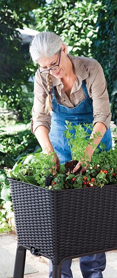 Immagine prodotto Keter Easy Growing