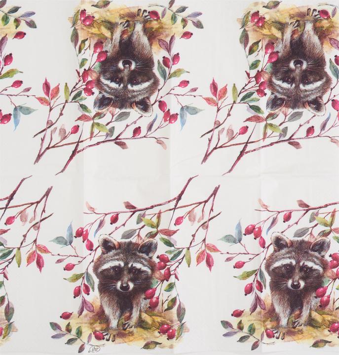 Produktbild IHR Papiertaschentücher "Waschbär"