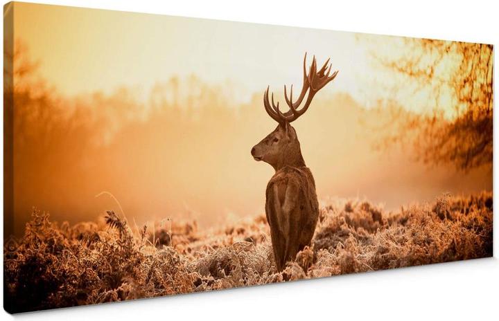 Image du produit Trenddeko Cerf majestueux - panorama (120 x 50 cm)