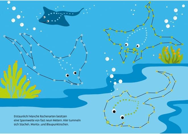 Actual product image Tessloff Totally colourful from dot to dot. Sea animals.from 1 to 100 (German)