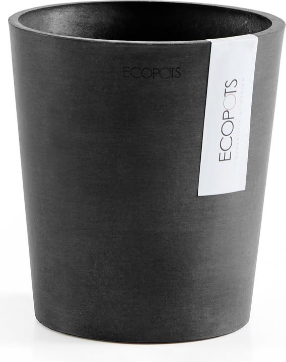 Actual product image Ecopots Morinda (14 cm)